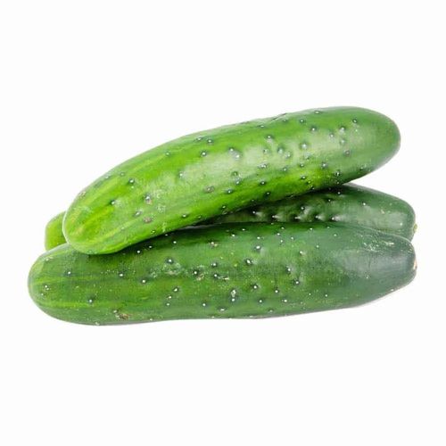 Pepino Gourmet Orgánico Por Kg