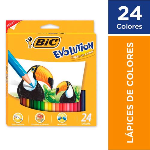 Lapices De Colores Bic Evolution 24 U