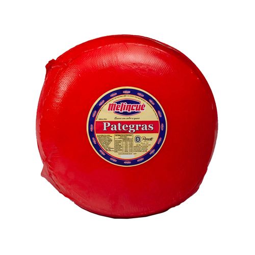 Queso Pategras Rt X 100 Gr.