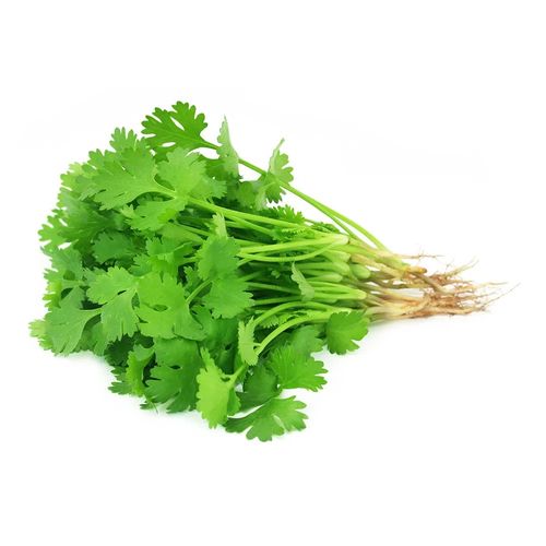 Cilantro Orgánico X Unidad