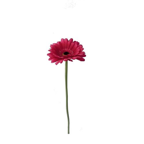 Gerbera 50 Cms Krea41370201001