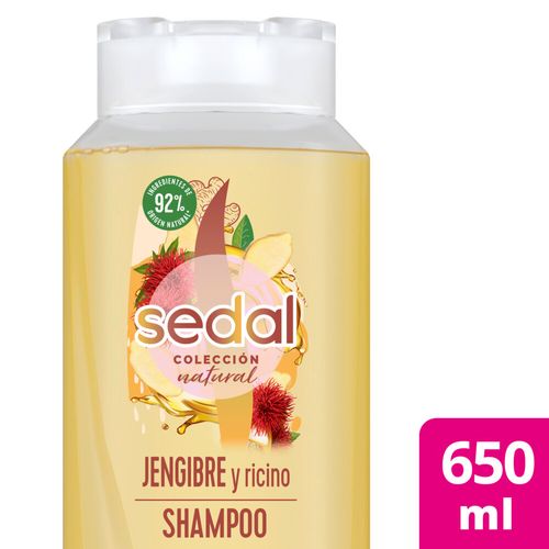 Shampoo Sedal Jengibre Y Ricino 650 Ml
