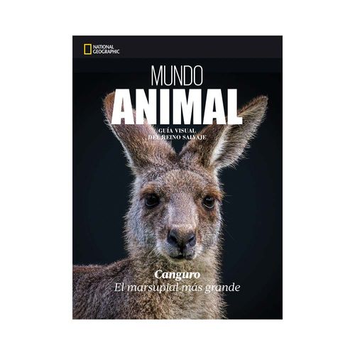 Libro Canguro Animales Arte Grafica