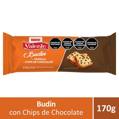 Budin Valente Chip Chocolate X170g