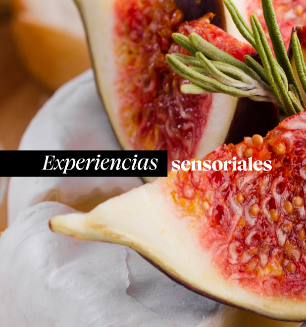 Experiencias Sensoriales